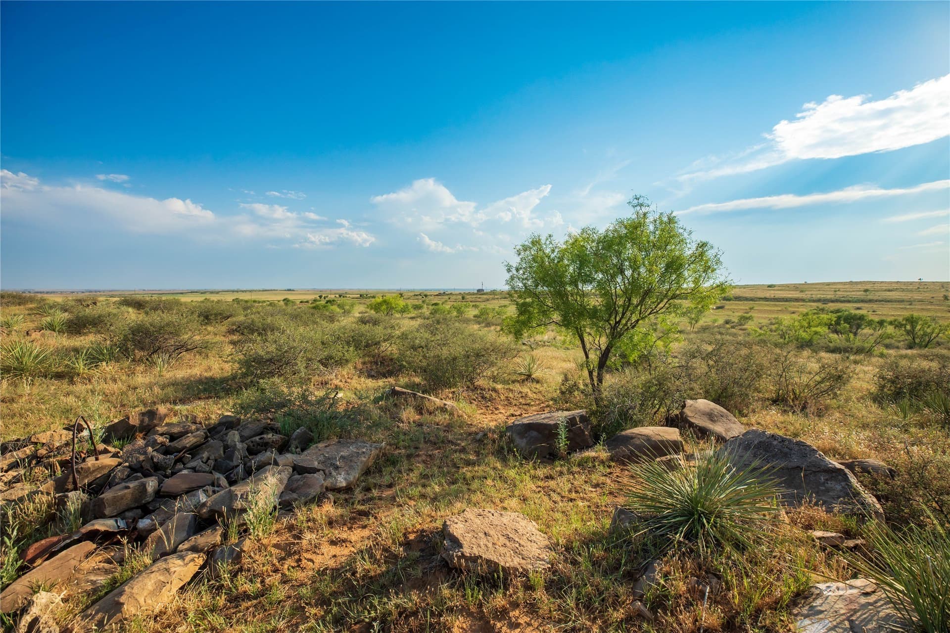 263.54 acres in Mitchell County - photo 29