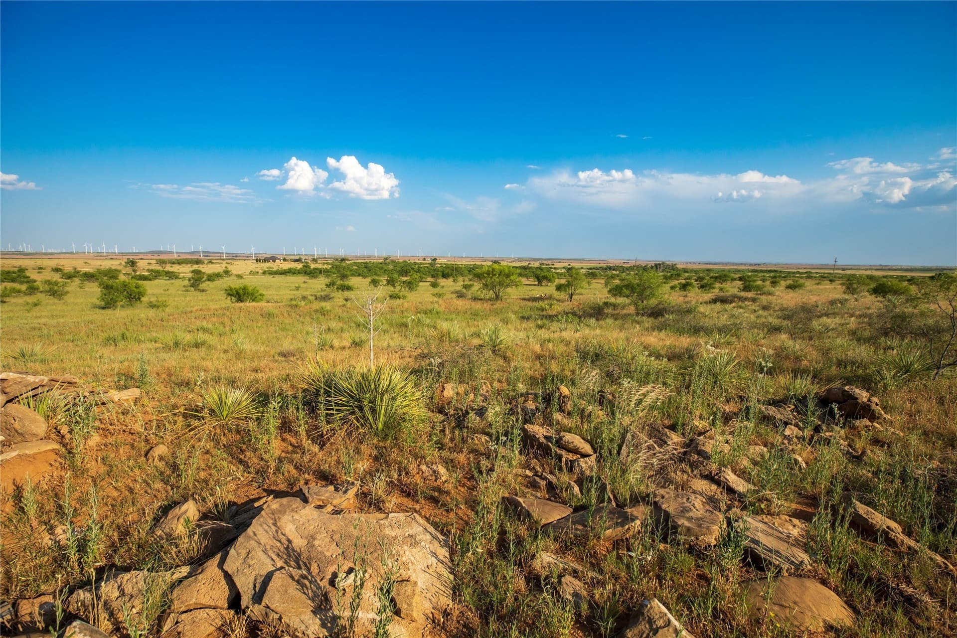 263.54 acres in Mitchell County - photo 31