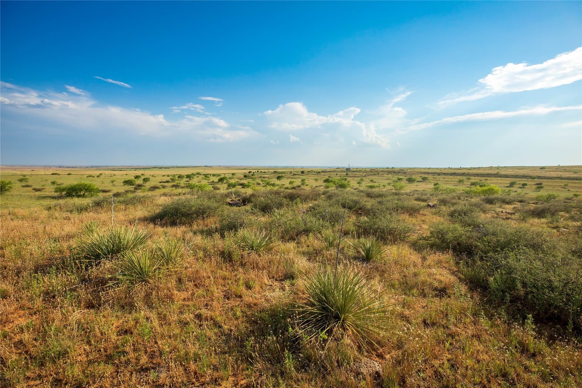 263.54 acres in Mitchell County - photo 25