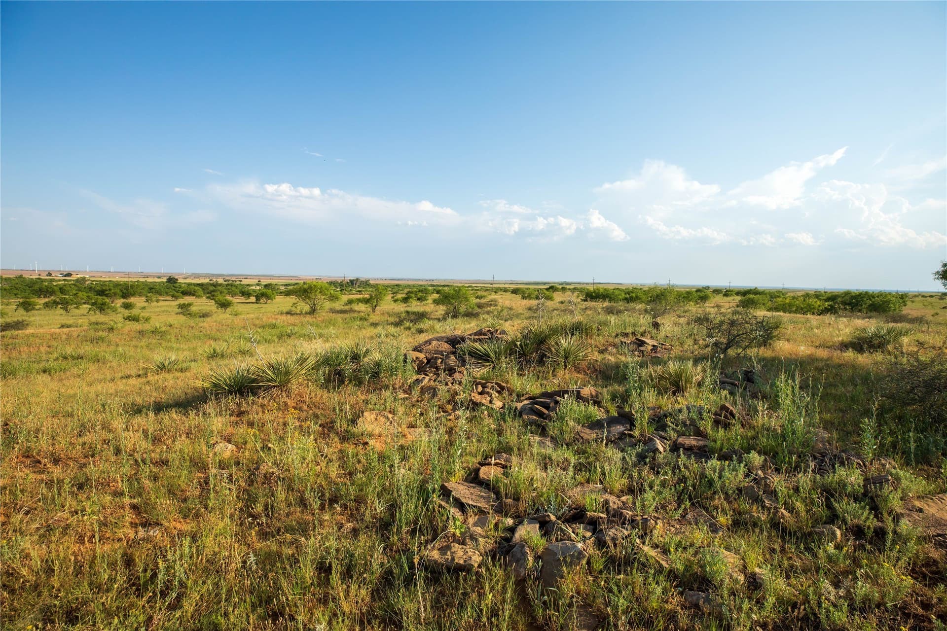 263.54 acres in Mitchell County - photo 30