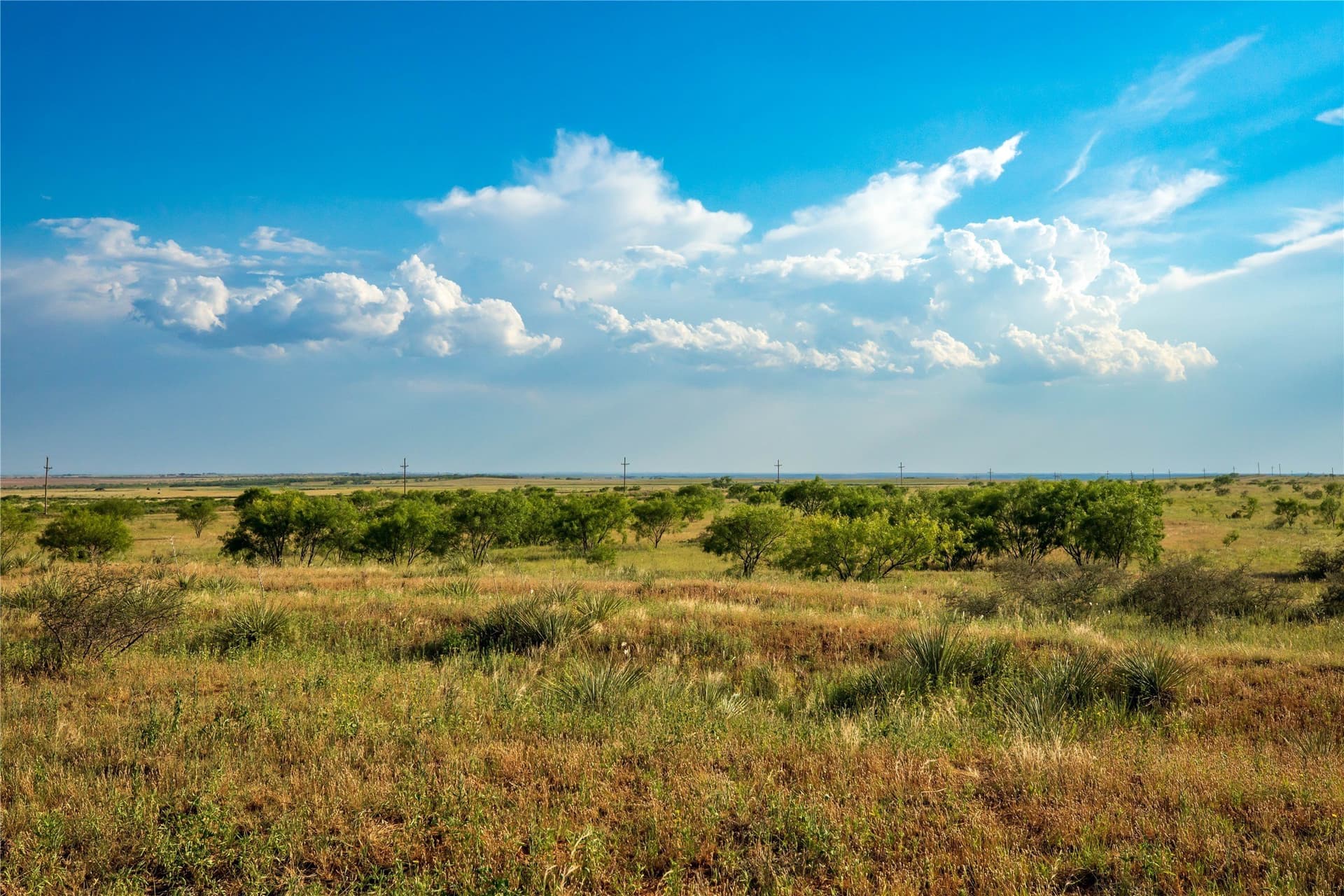 263.54 acres in Mitchell County - photo 32