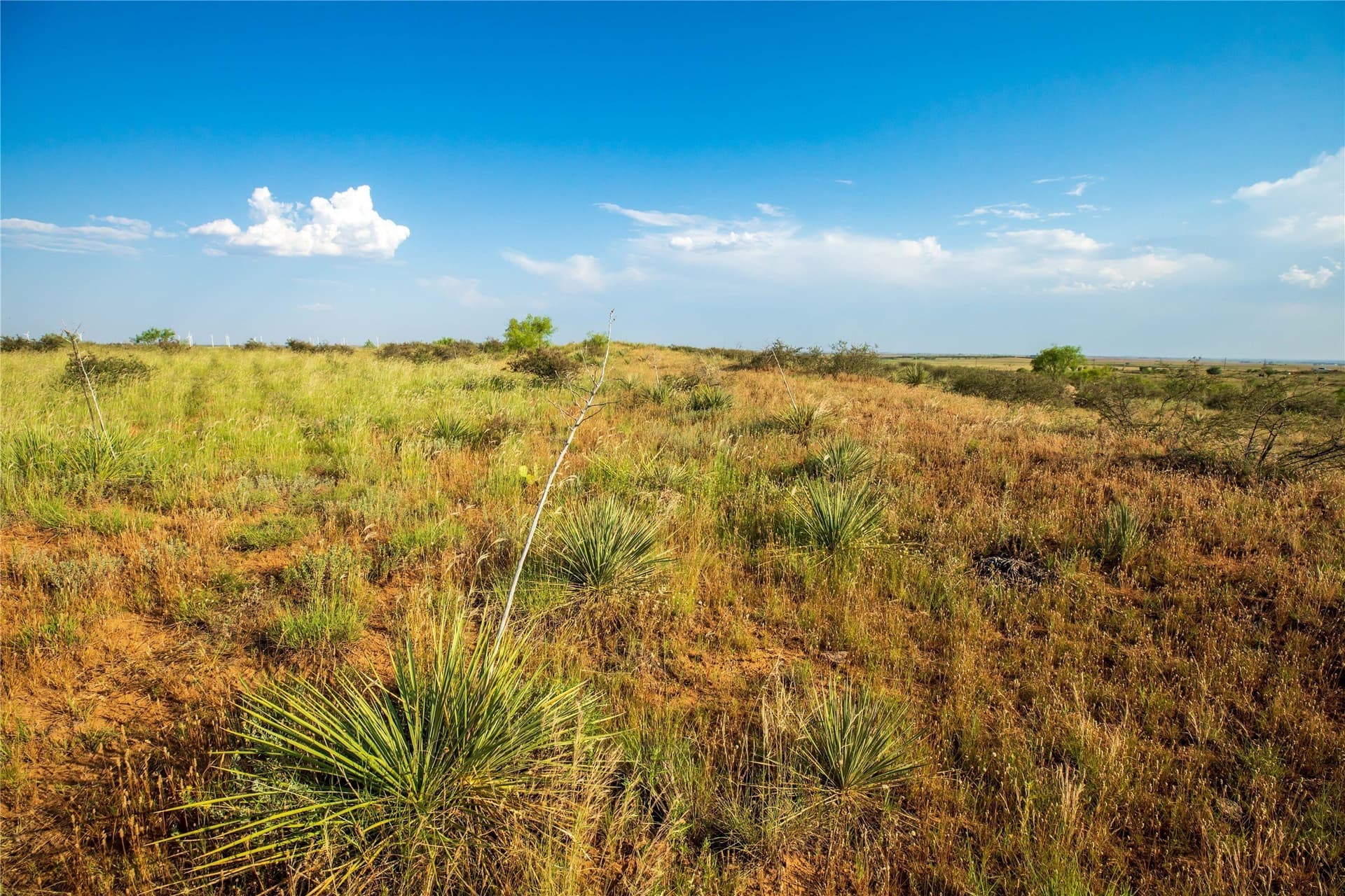 263.54 acres in Mitchell County - photo 26