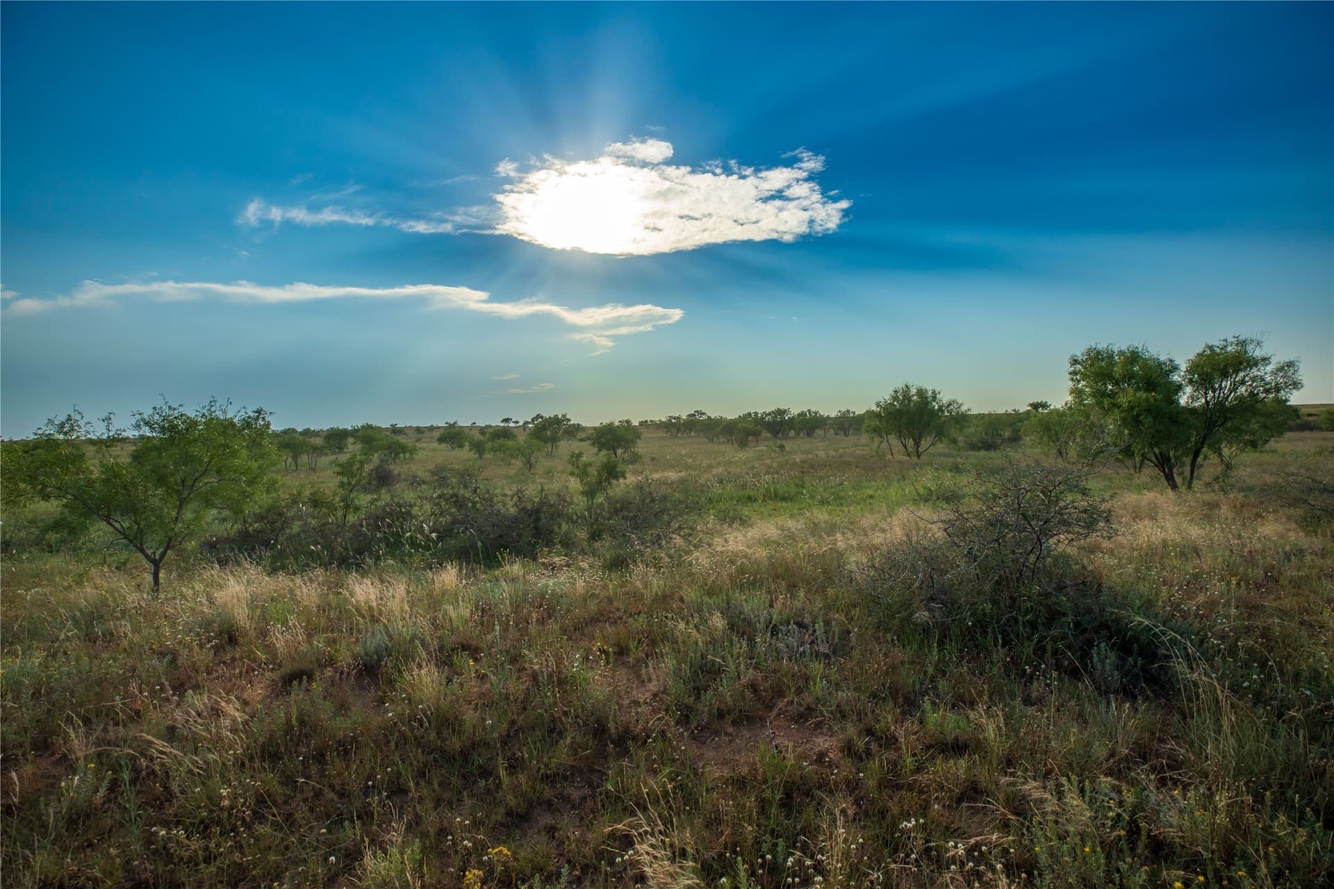 263.54 acres in Mitchell County - photo 36