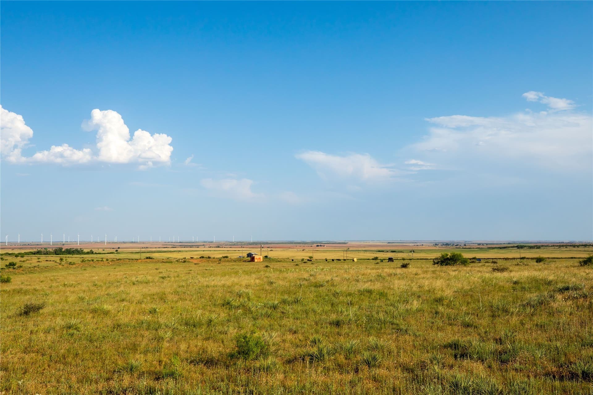 263.54 acres in Mitchell County - photo 19