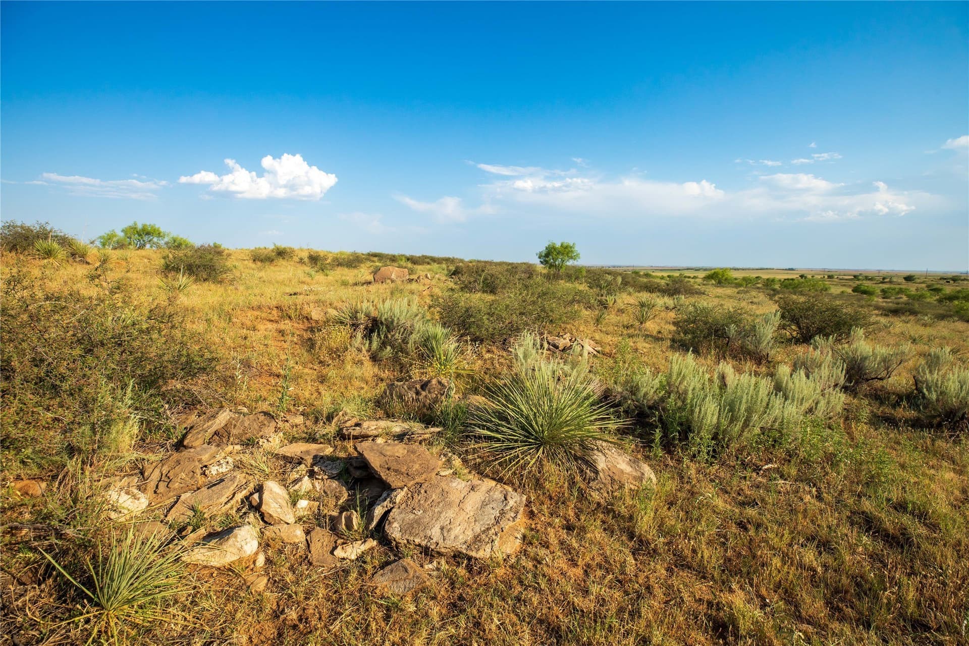 263.54 acres in Mitchell County - photo 27