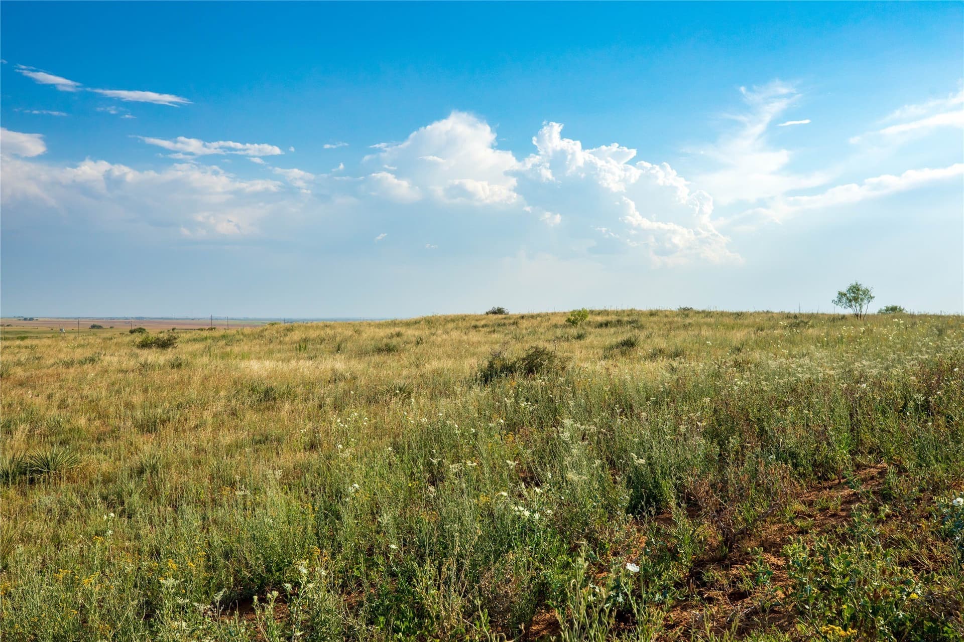 263.54 acres in Mitchell County - photo 20