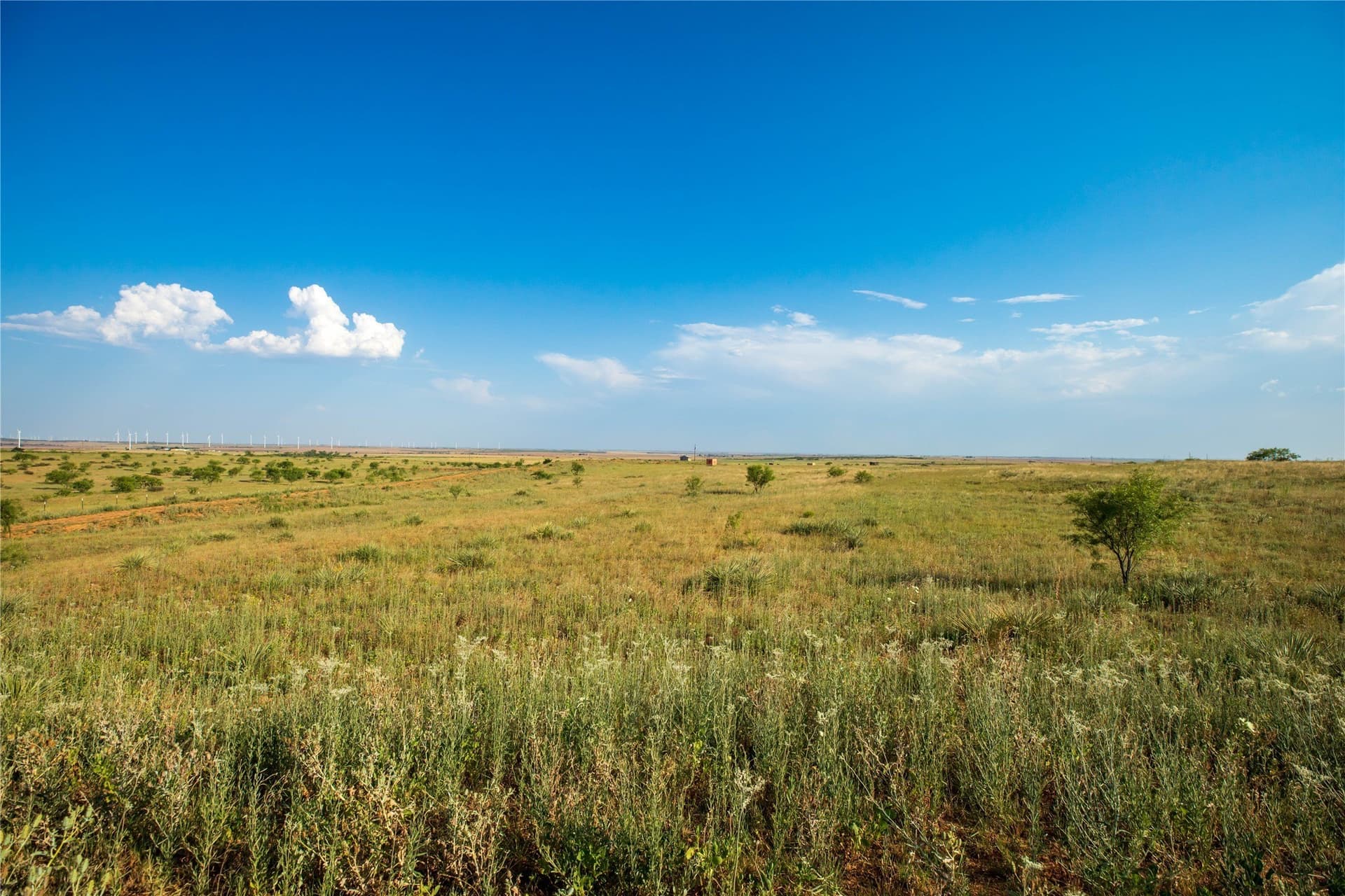 263.54 acres in Mitchell County - photo 21