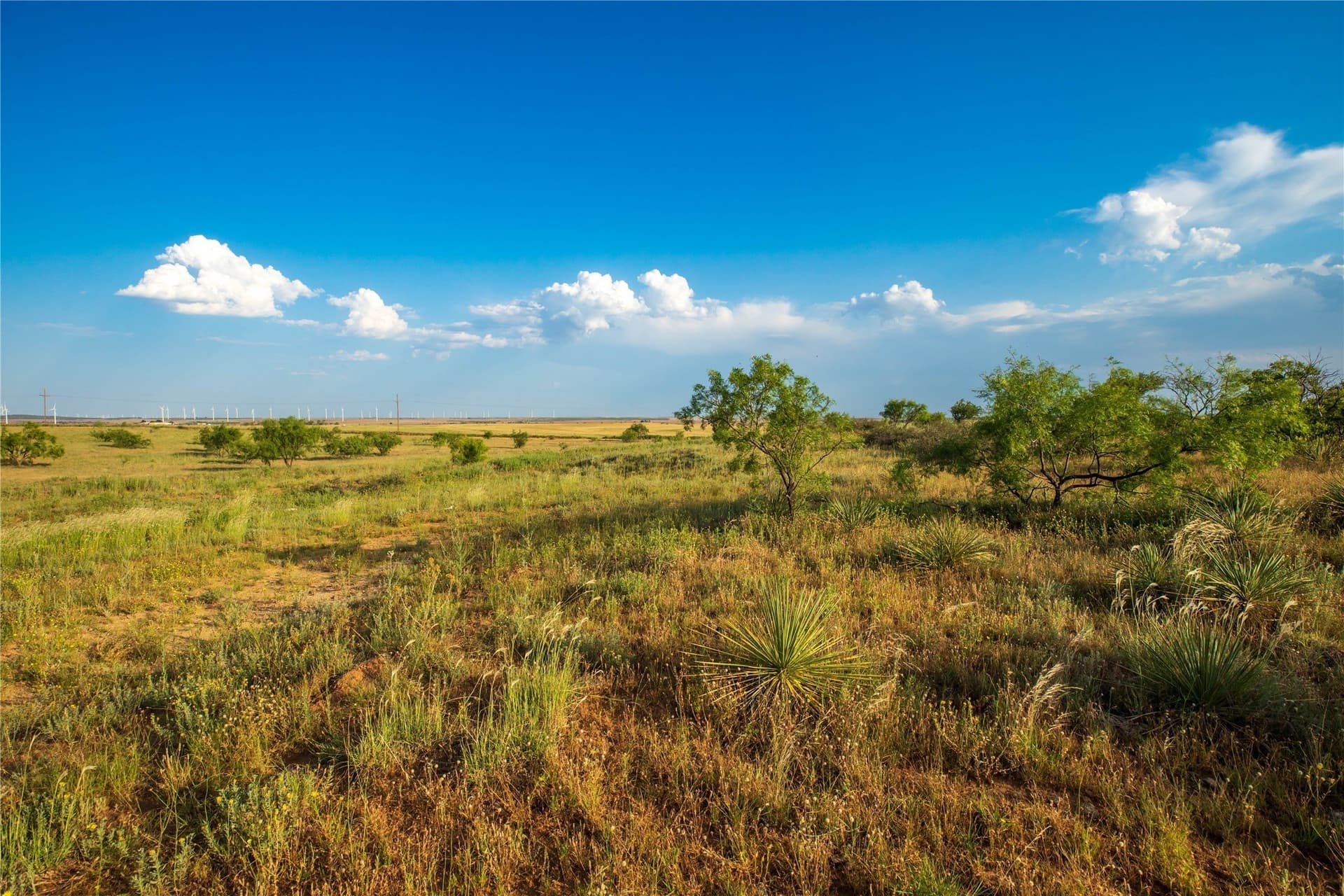 263.54 acres in Mitchell County - photo 39