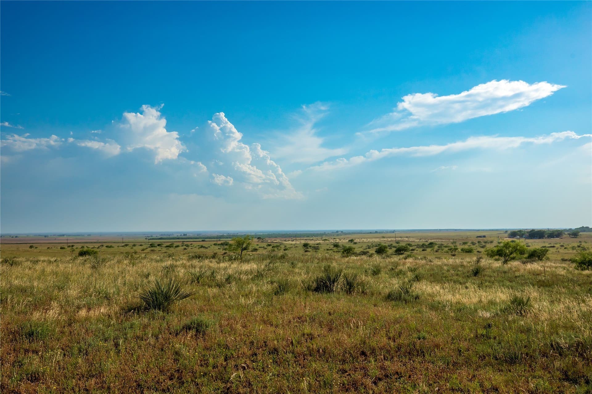 263.54 acres in Mitchell County - photo 13