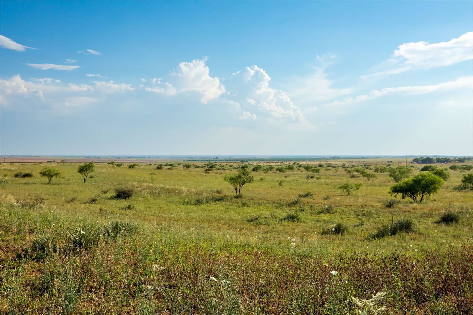 263.54 acres in Mitchell County - photo 12