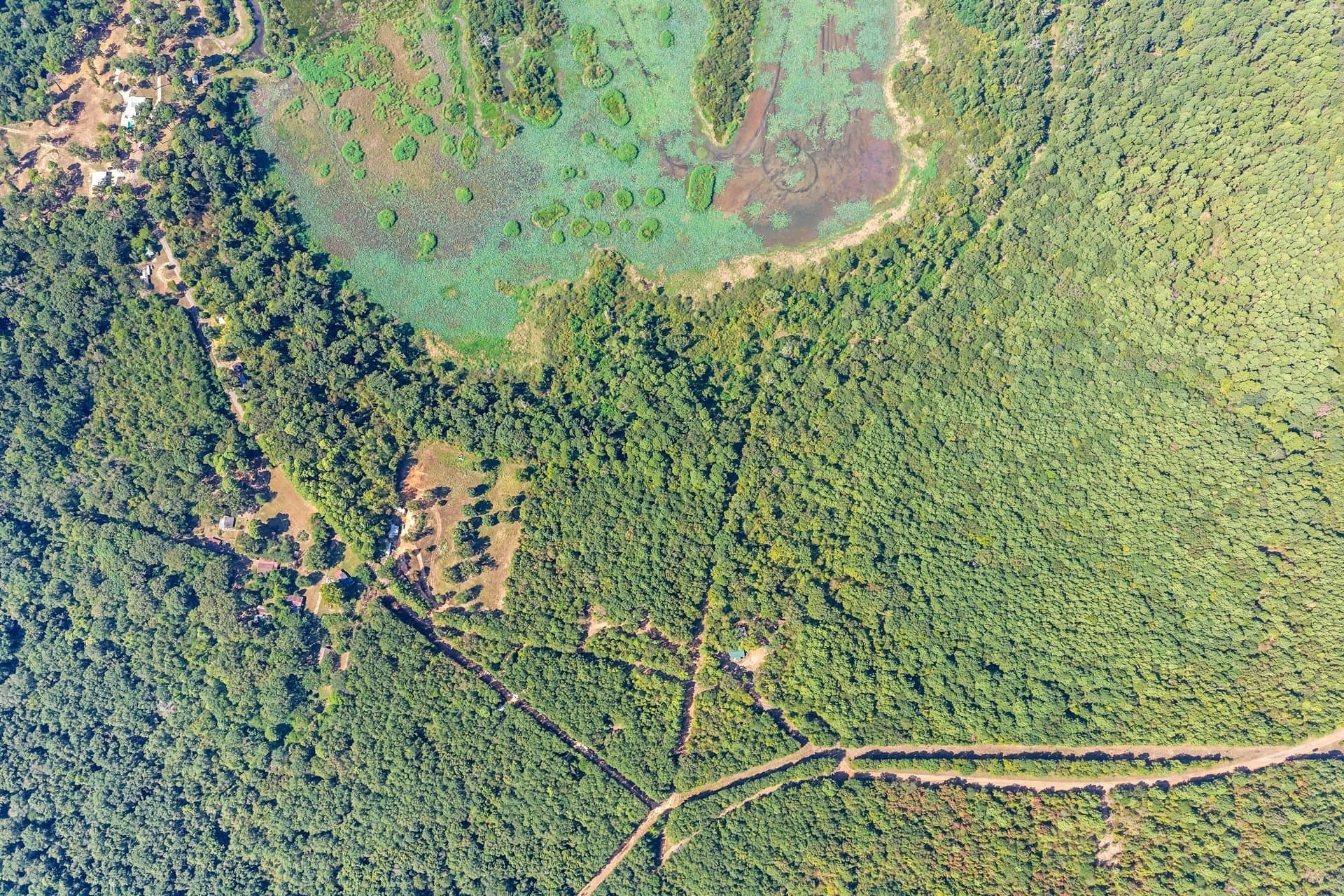 35.96 acres in Marion County - photo 3