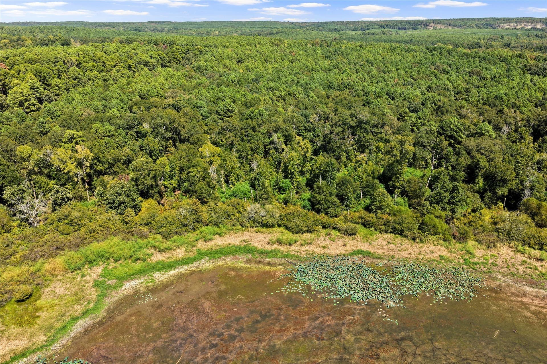 35.96 acres in Marion County - photo 20