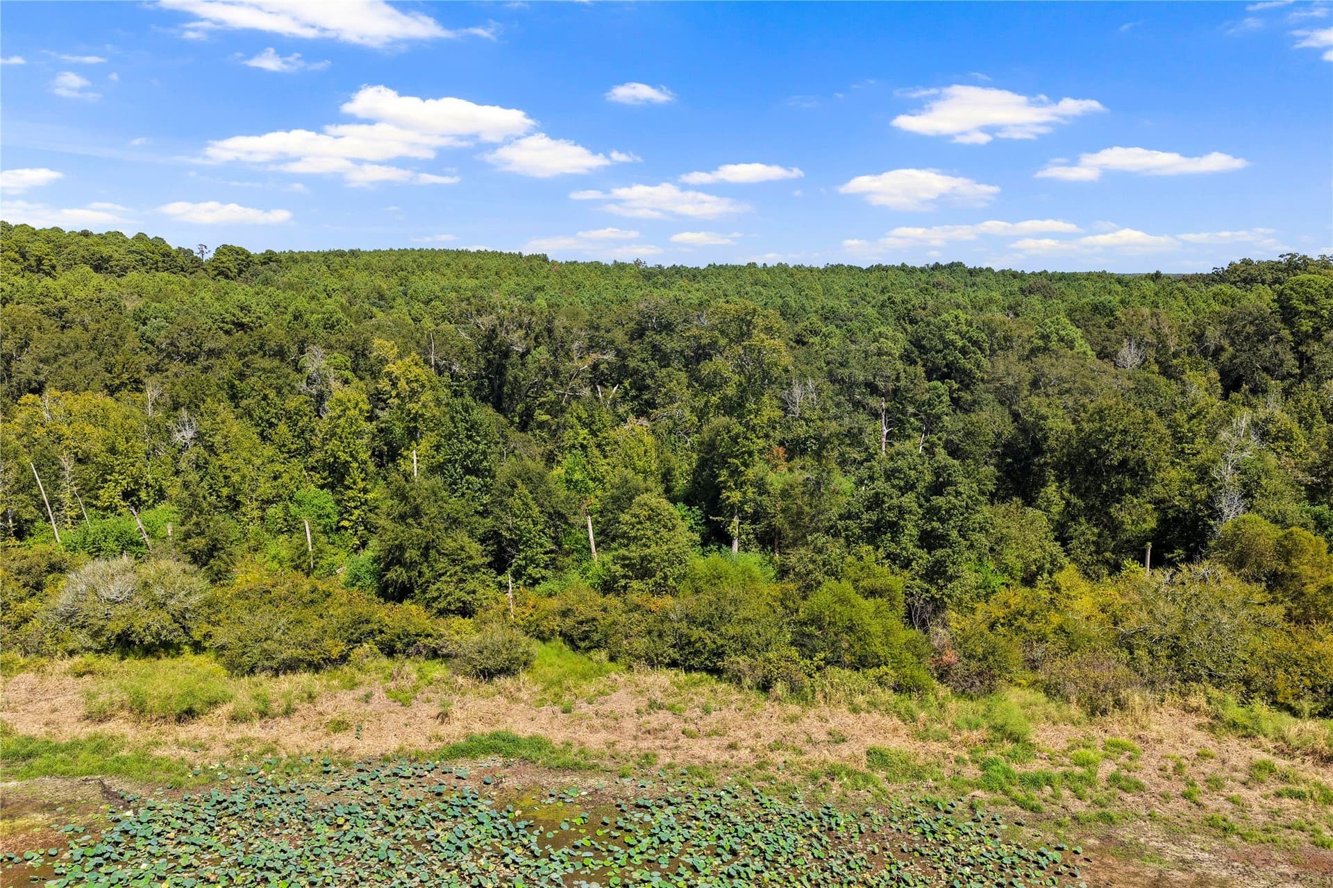 35.96 acres in Marion County - photo 16