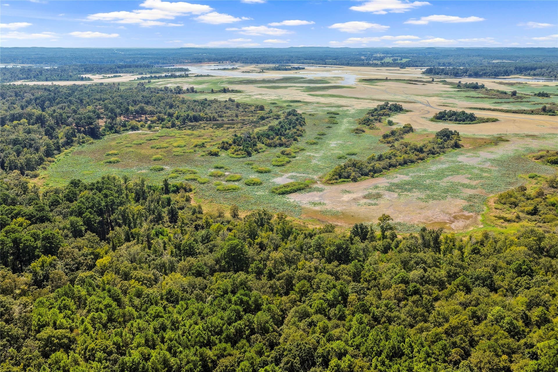 35.96 acres in Marion County - photo 19