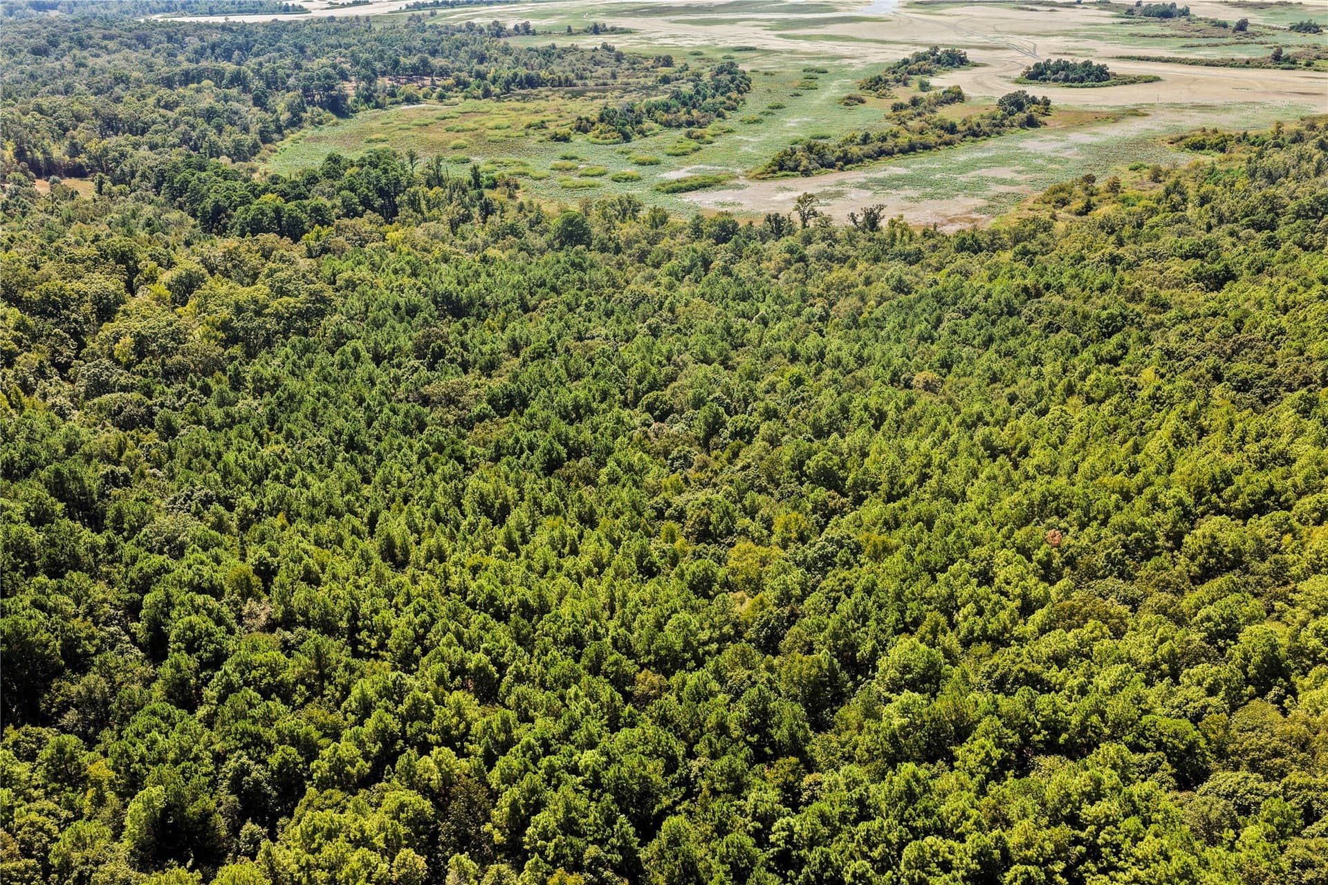 35.96 acres in Marion County - photo 18