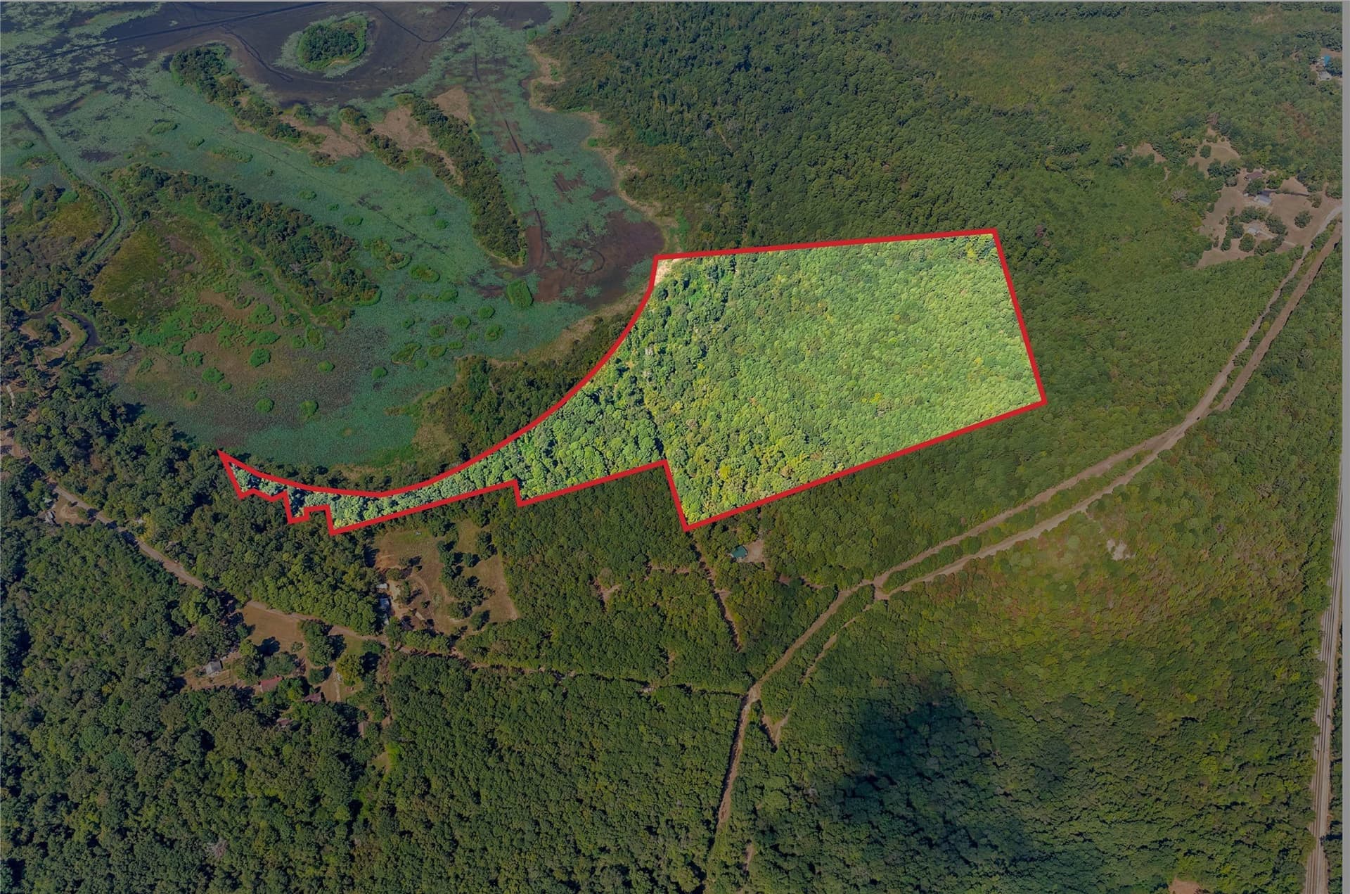 35.96 acres in Marion County - photo 12