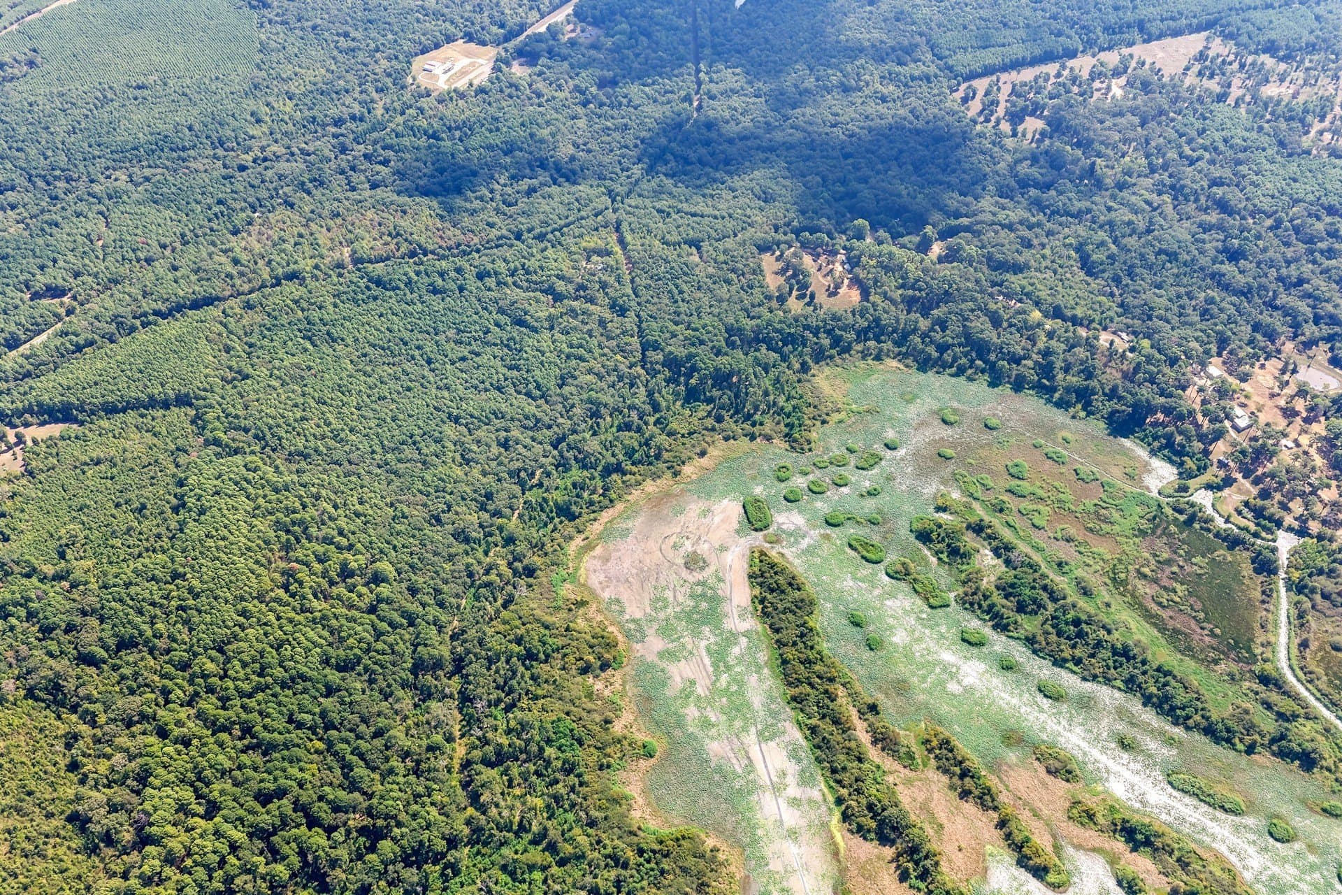 35.96 acres in Marion County - photo 8