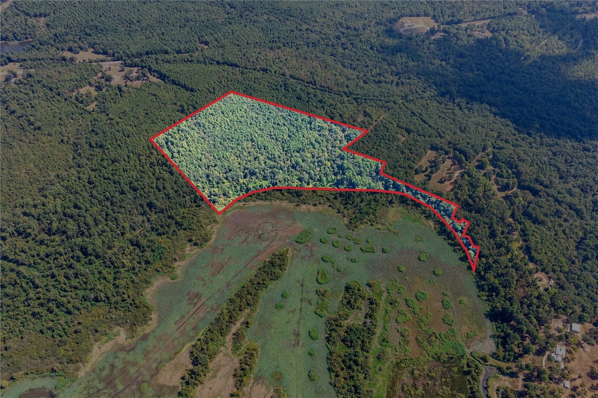 35.96 acres in Marion County - photo 11
