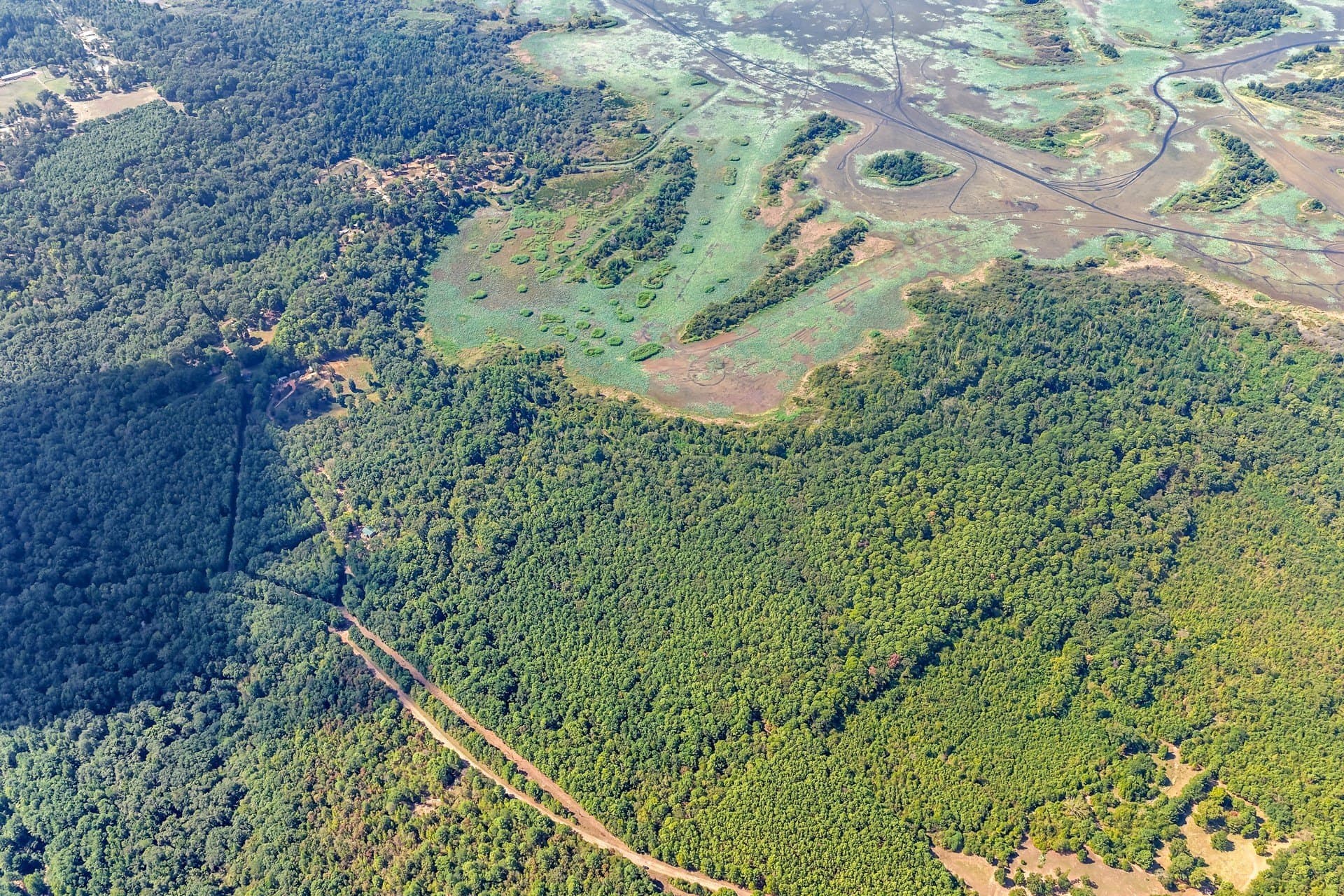 35.96 acres in Marion County - photo 5