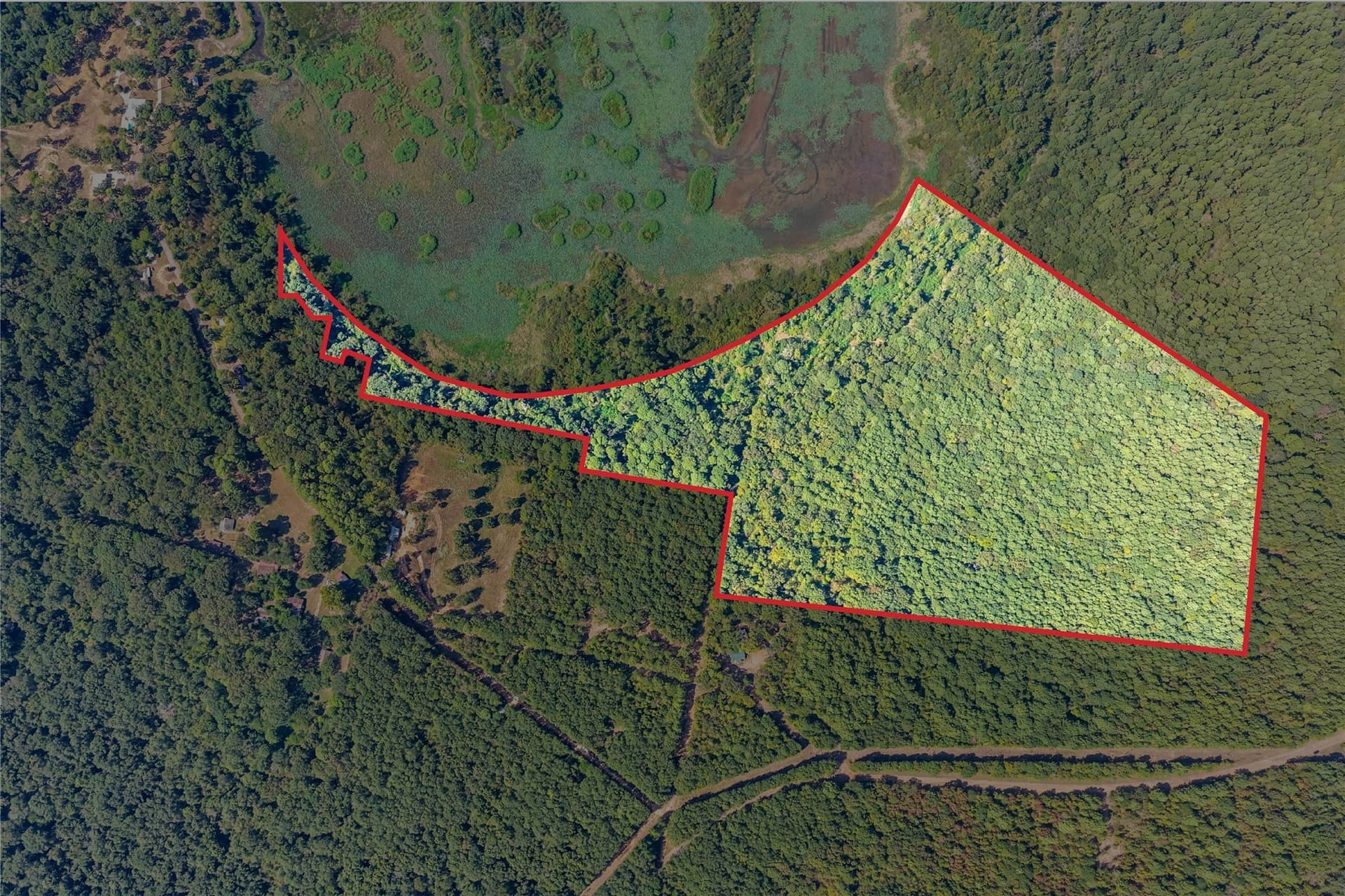 35.96 acres in Marion County - photo 13