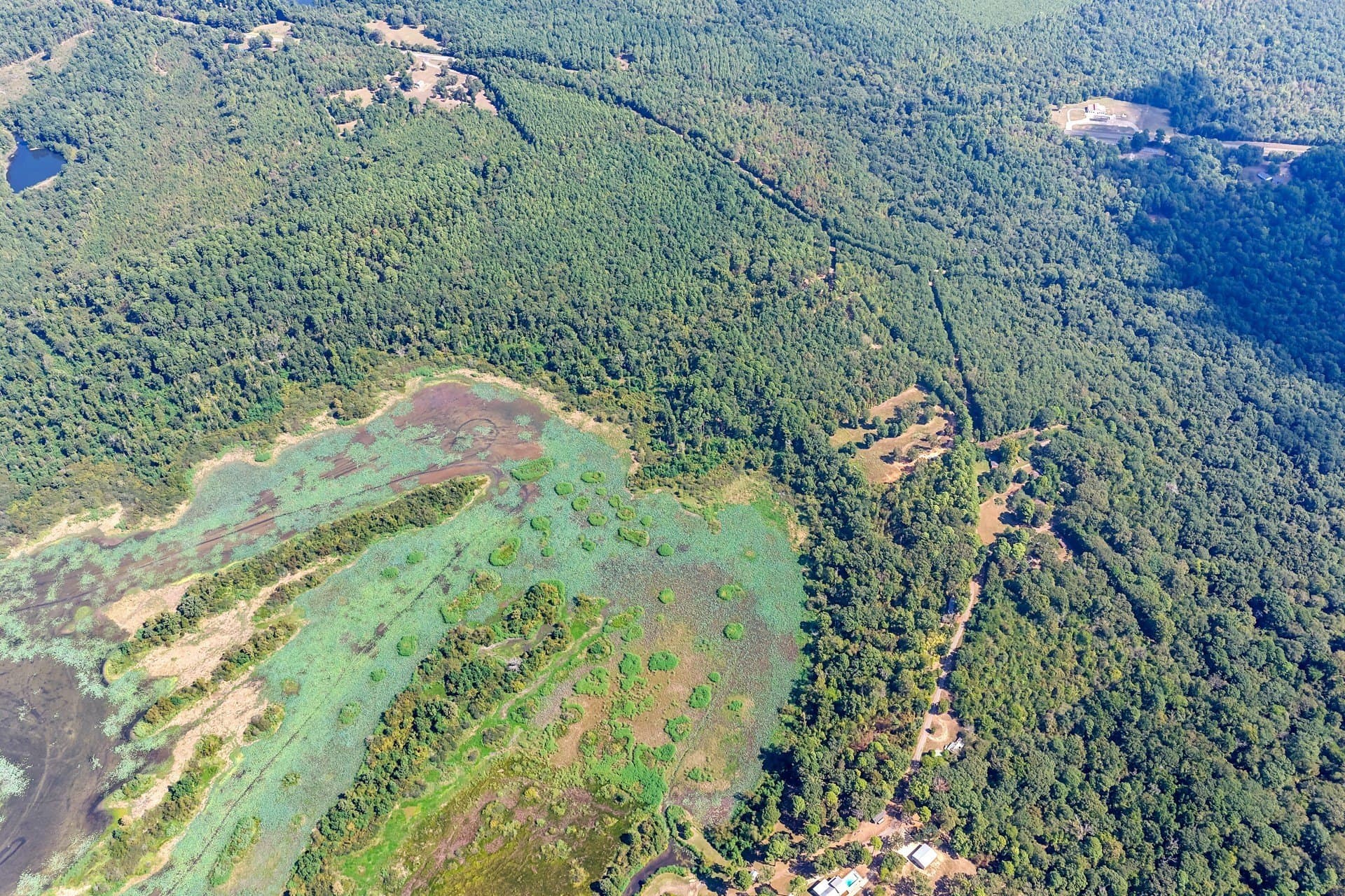 35.96 acres in Marion County - photo 7