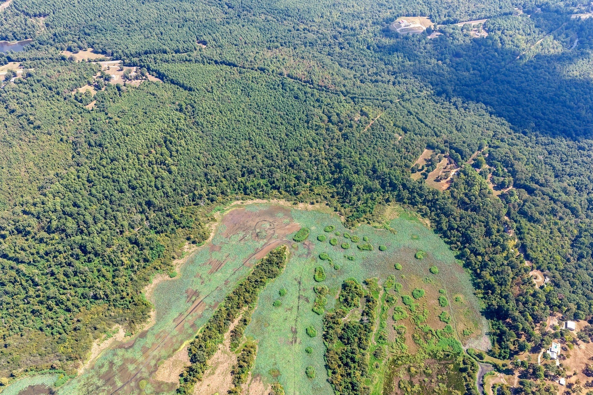 35.96 acres in Marion County - photo 4