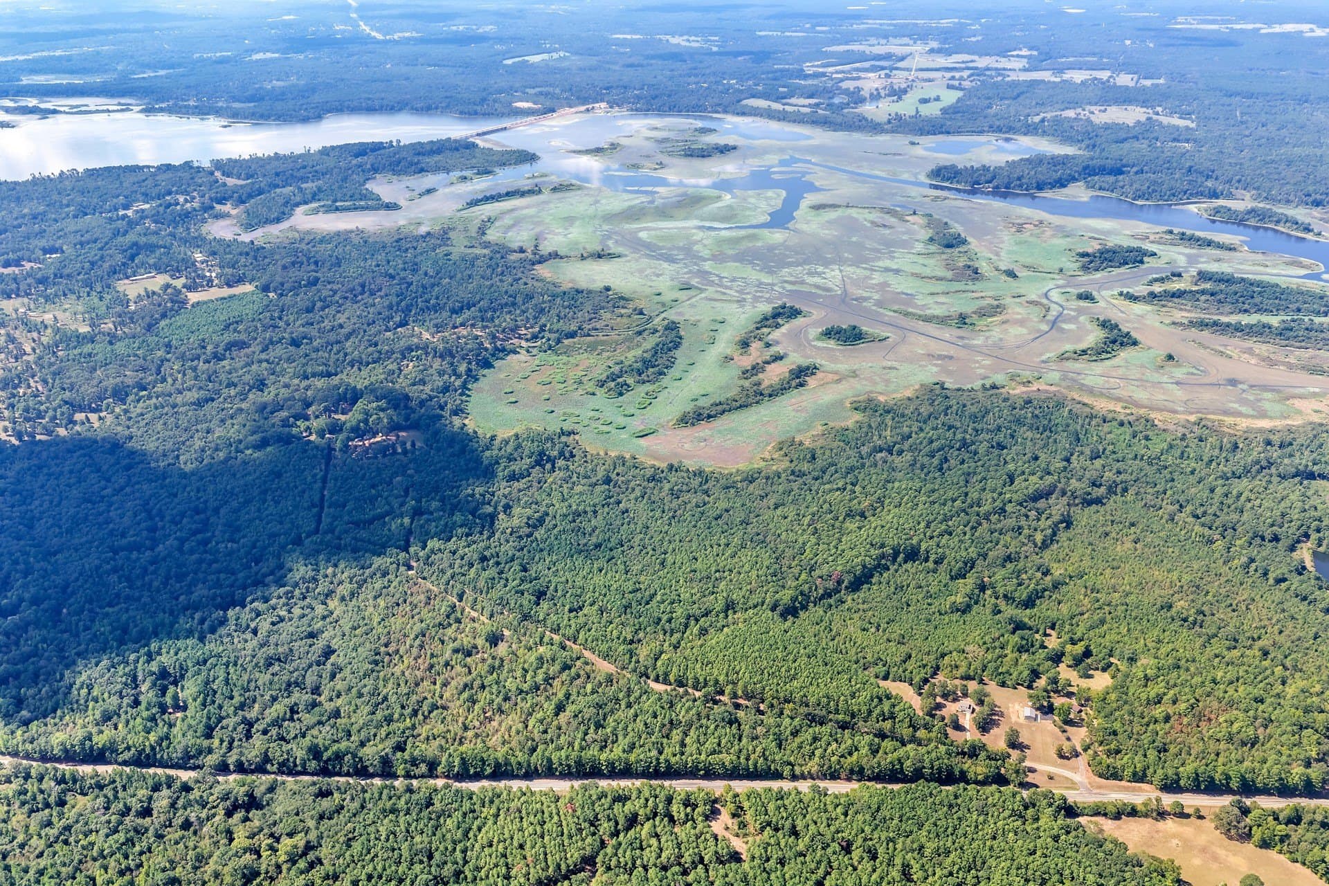 35.96 acres in Marion County - photo 9