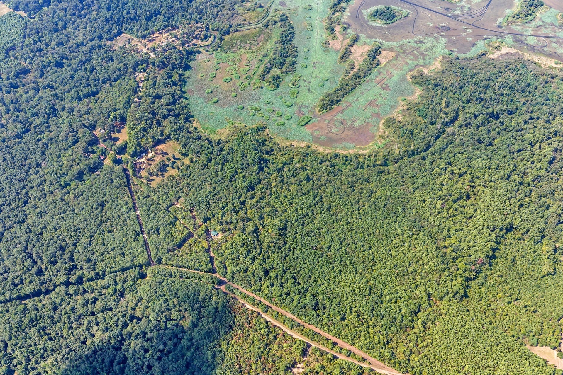 35.96 acres in Marion County
