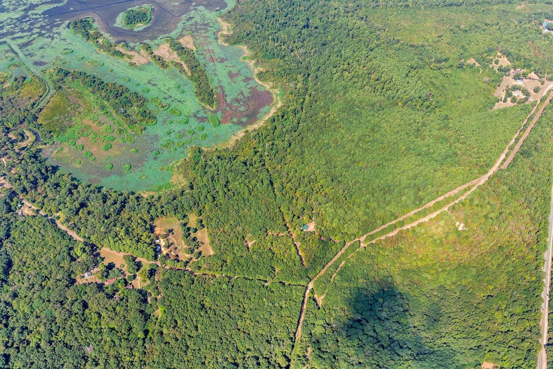 35.96 acres in Marion County - photo 6