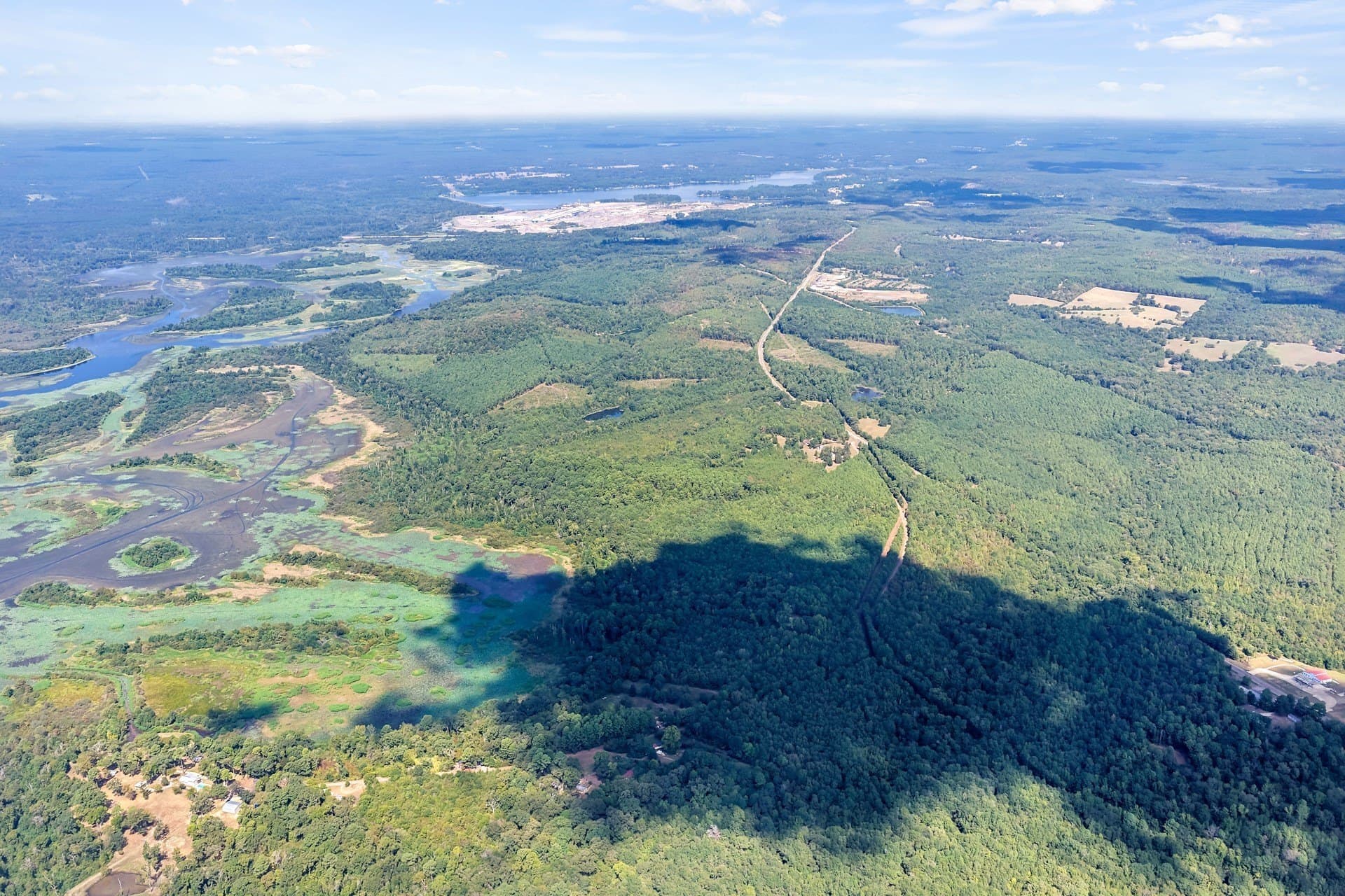 35.96 acres in Marion County - photo 10