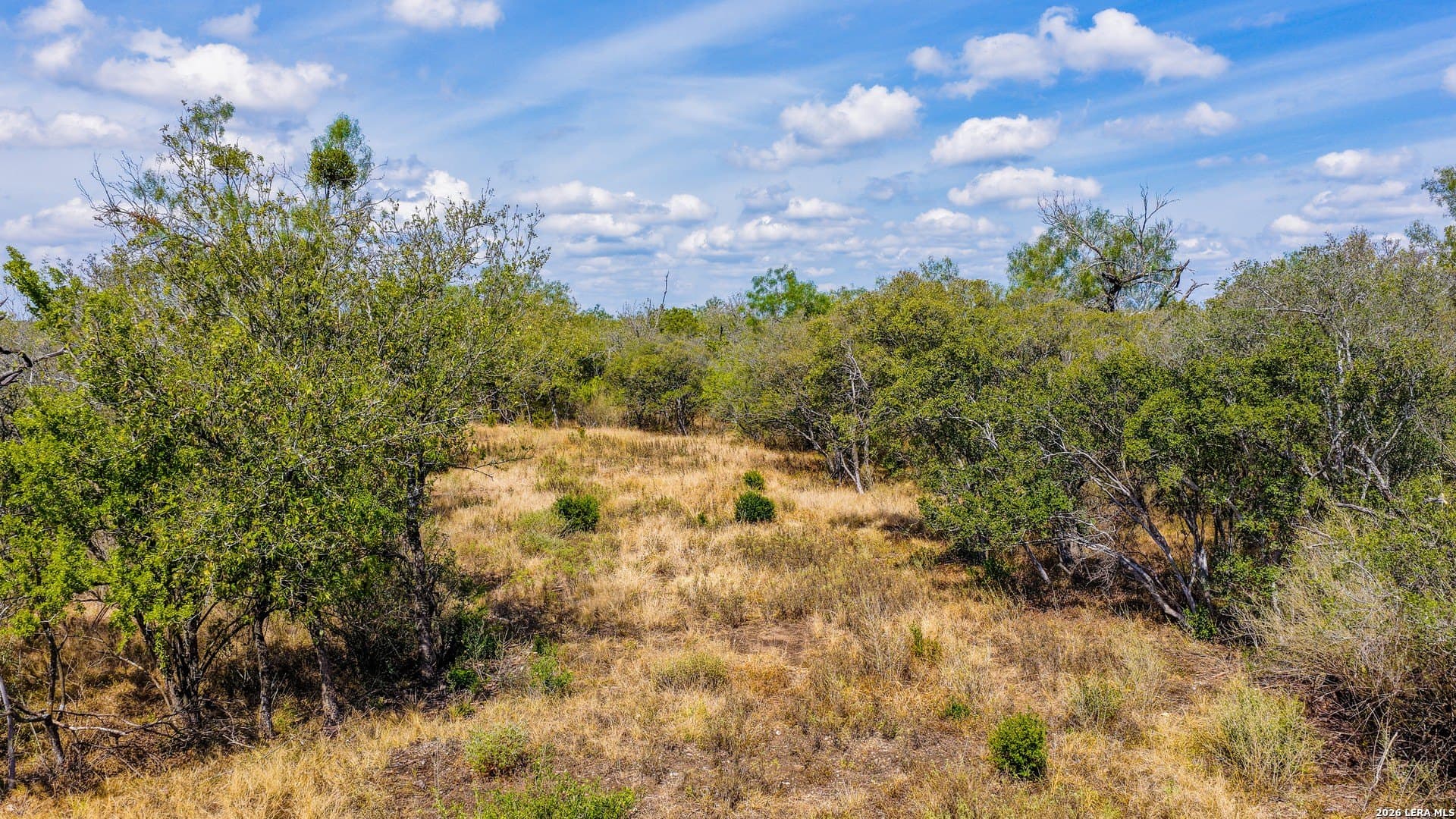 10.08 acres in Medina County - photo 3