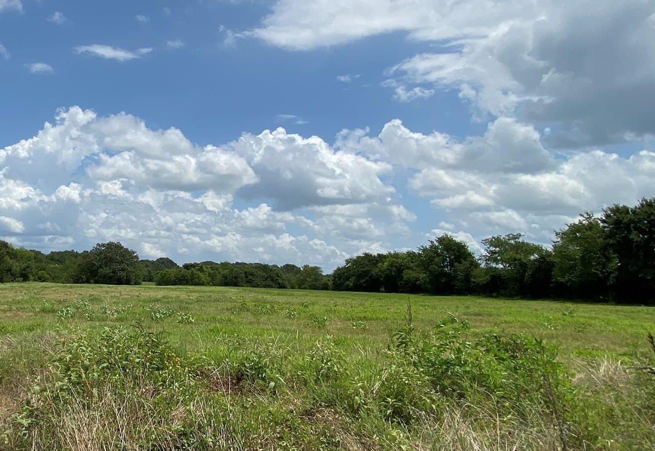30.77 acres in Hopkins County - photo 11