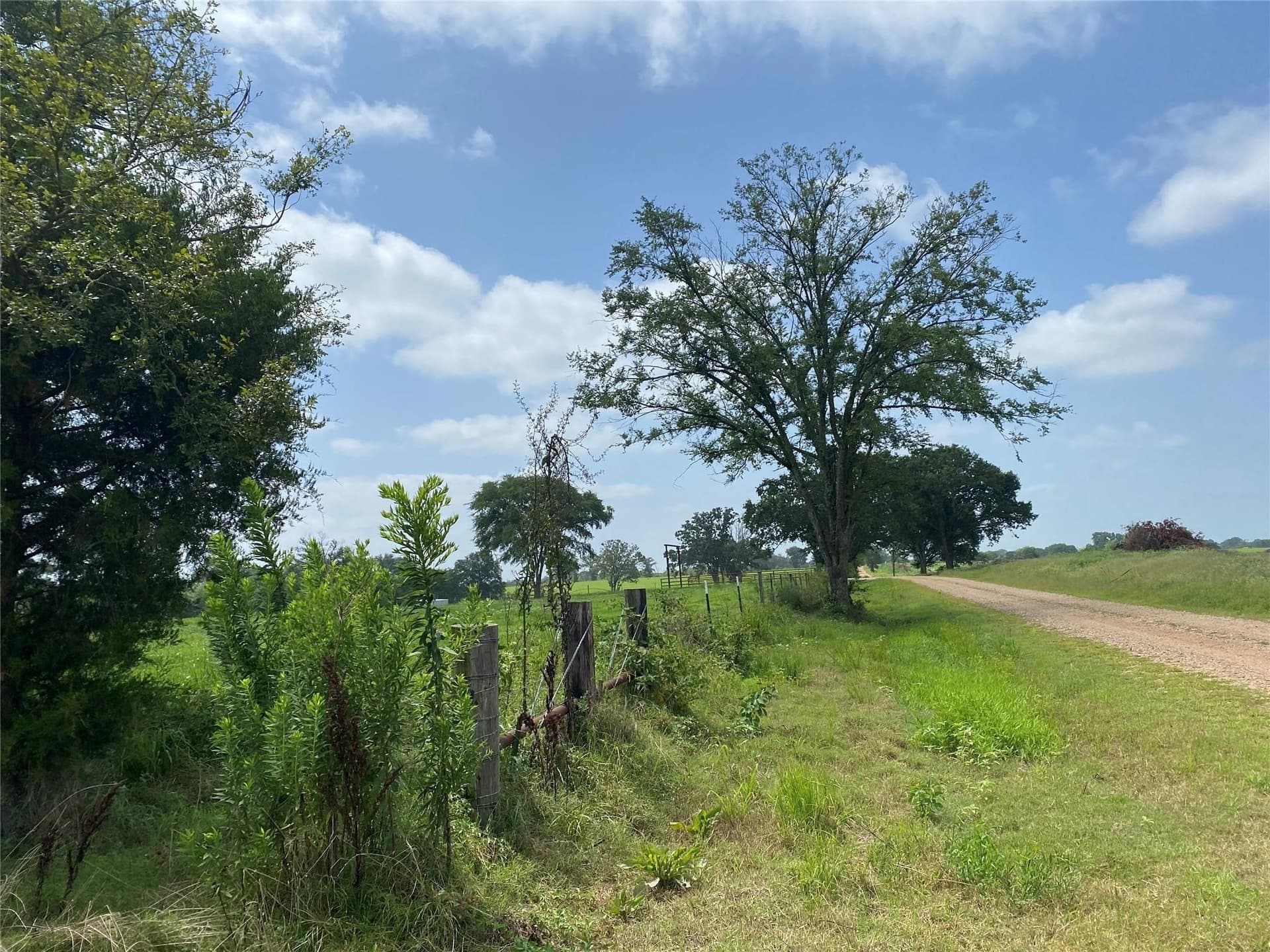 30.77 acres in Hopkins County - photo 13