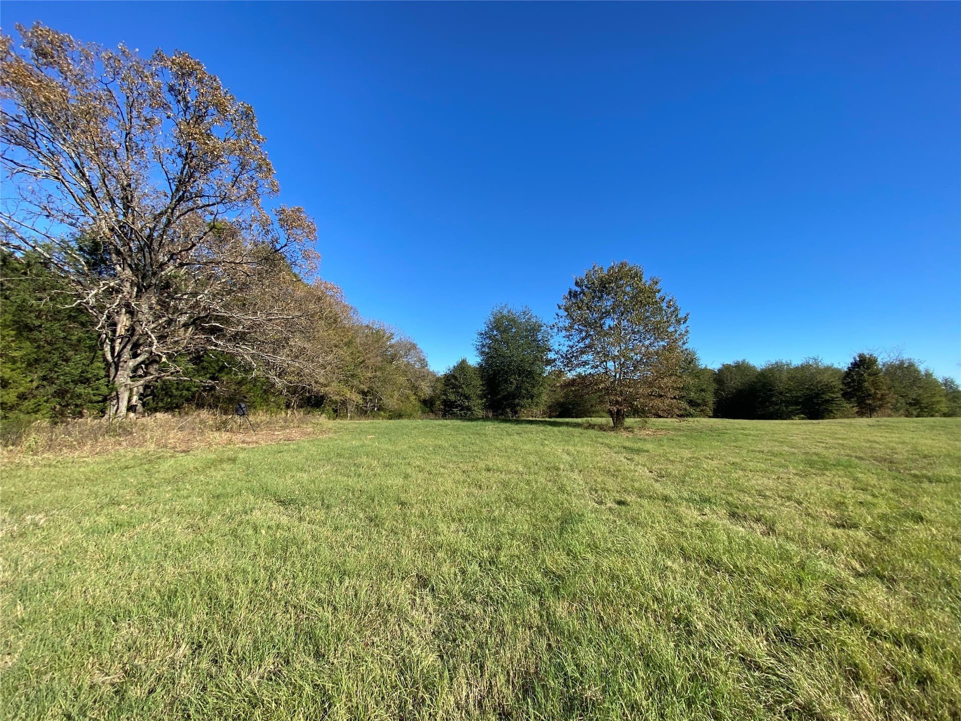 30.77 acres in Hopkins County - photo 10