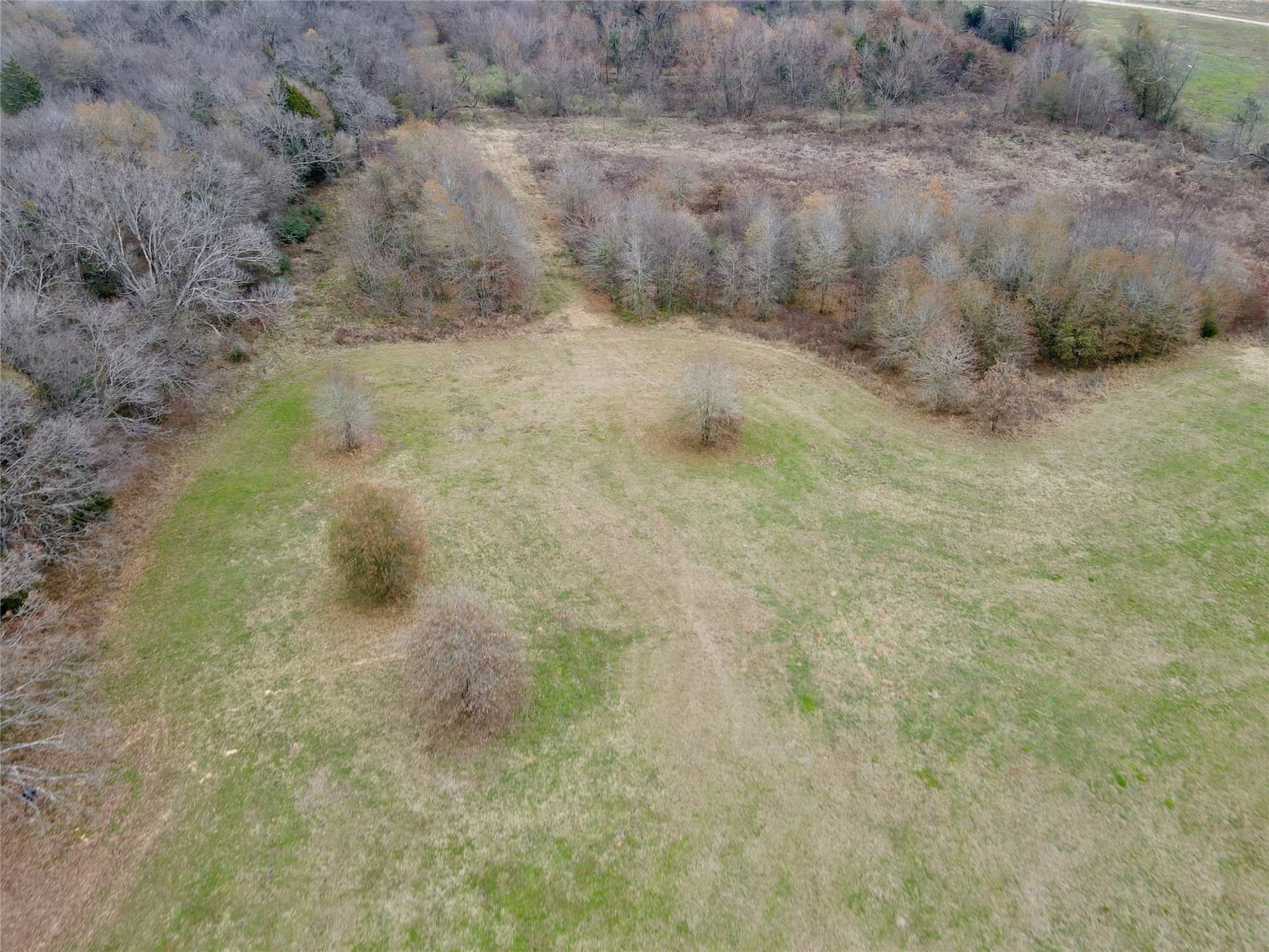 30.77 acres in Hopkins County featured view