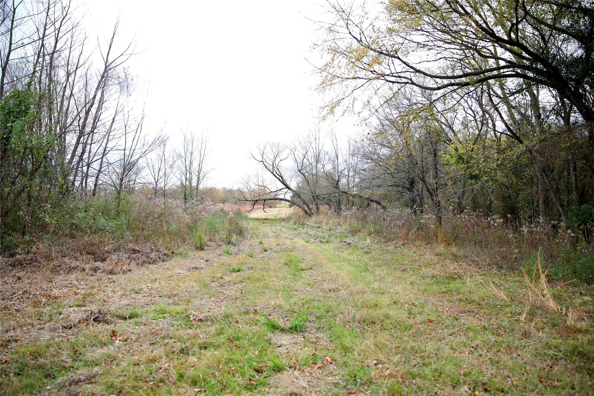 30.77 acres in Hopkins County - photo 8