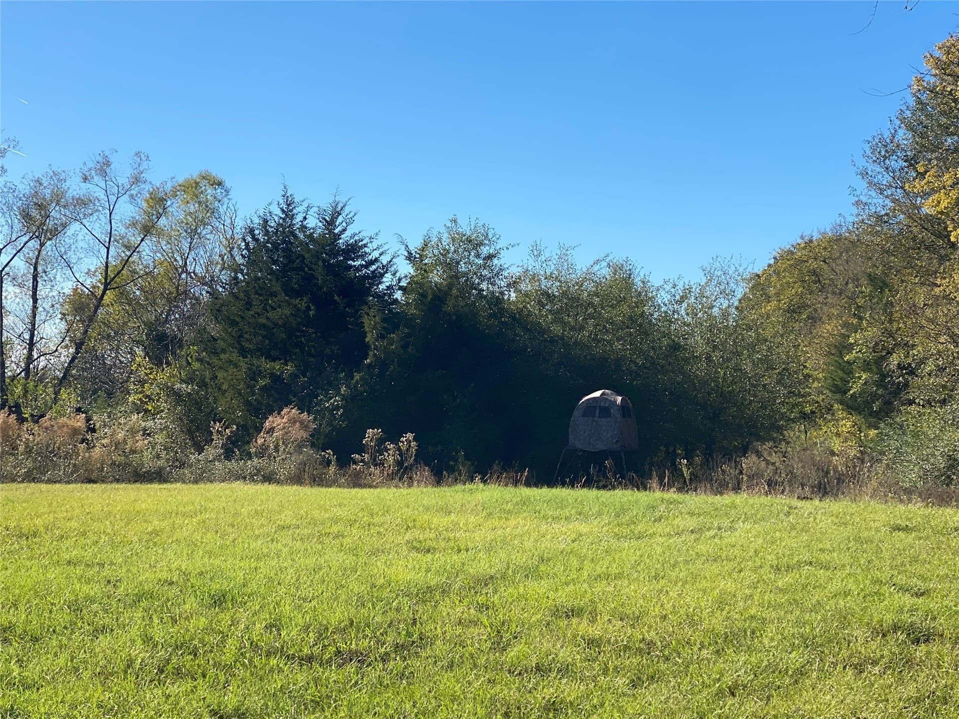 30.77 acres in Hopkins County - photo 9