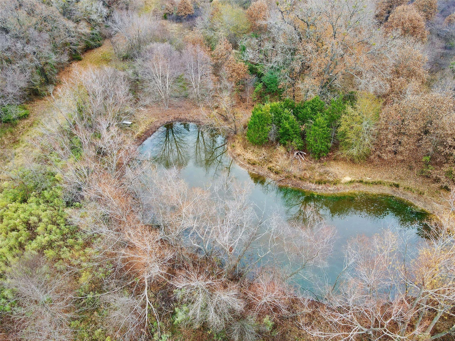 30.77 acres in Hopkins County gallery image 3