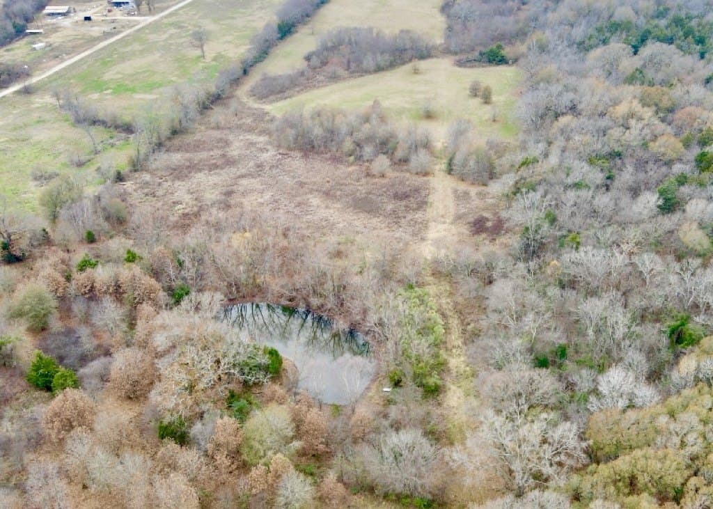 30.77 acres in Hopkins County gallery image 2
