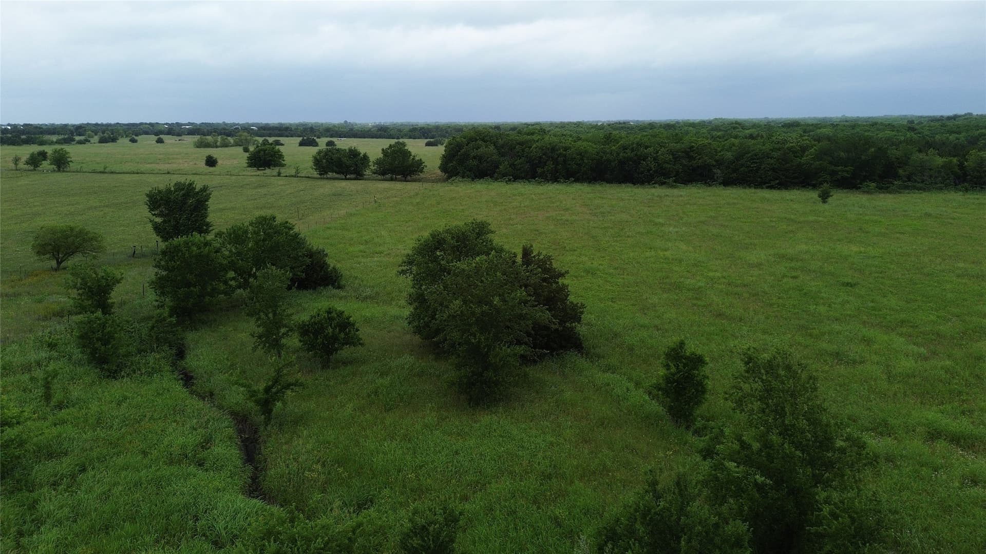 45 acres in Hunt County - photo 6