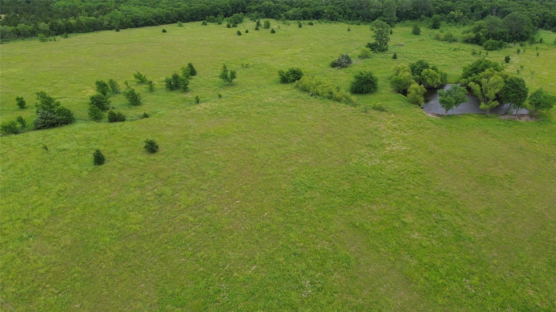 45 acres in Hunt County - photo 7