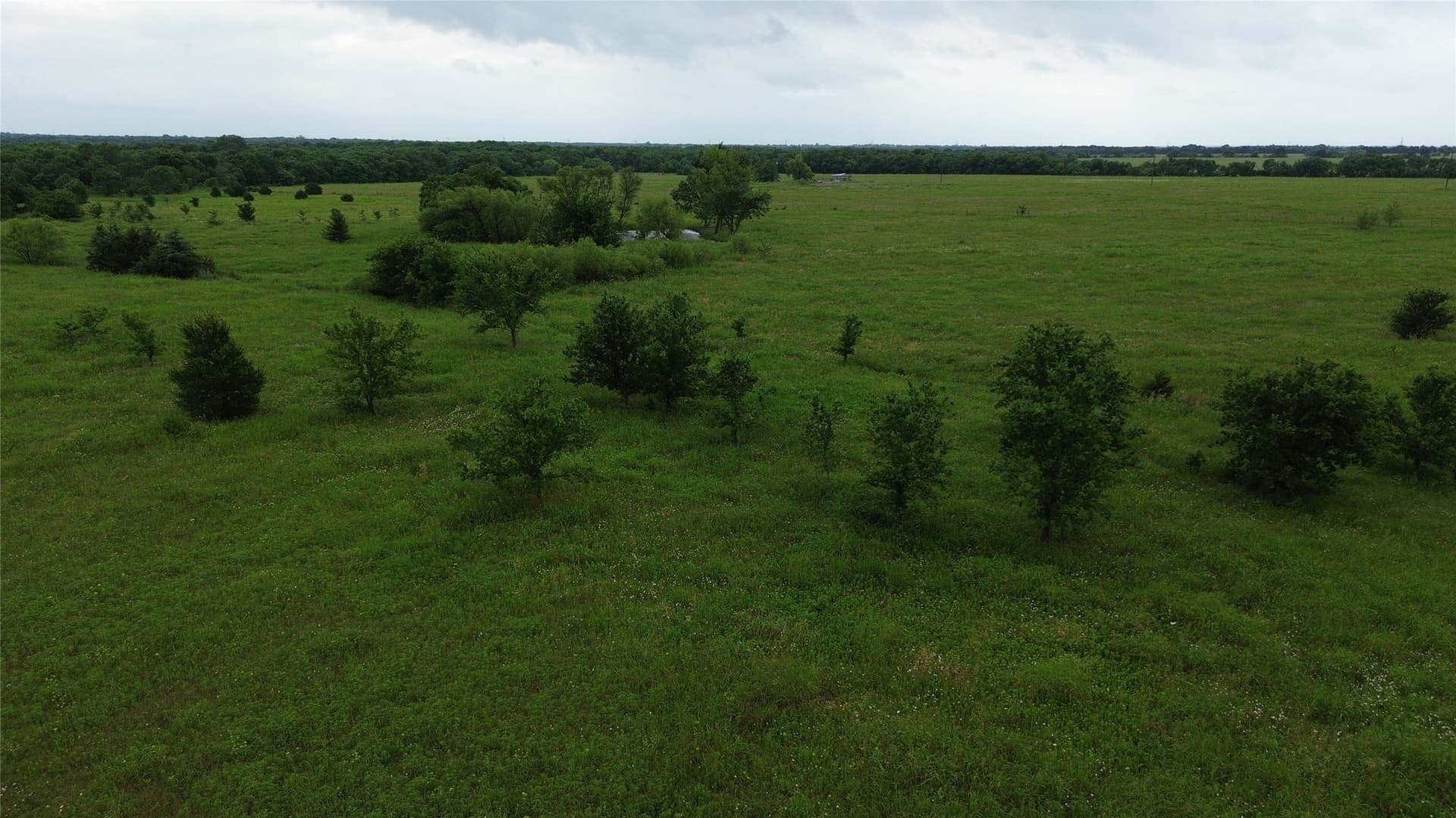 45 acres in Hunt County - photo 4