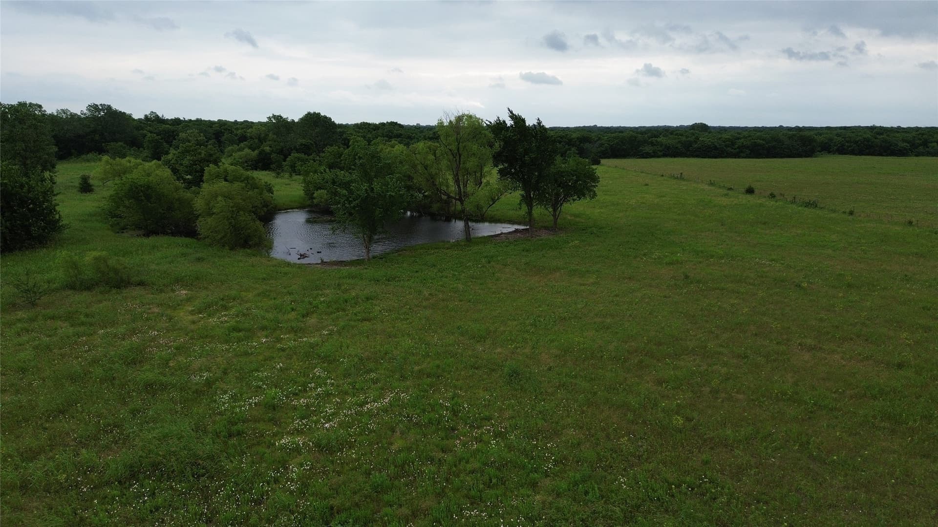 45 acres in Hunt County - photo 12
