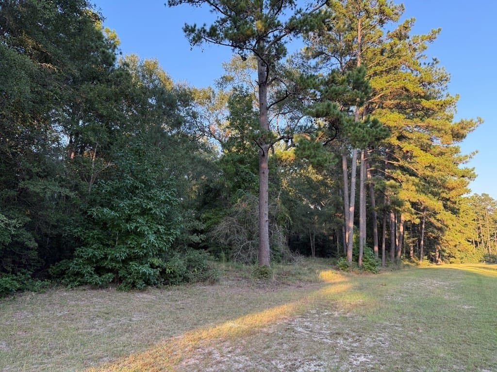 2.56 acres in Texas County gallery image 4