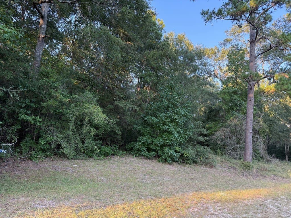 2.56 acres in Texas County gallery image 3