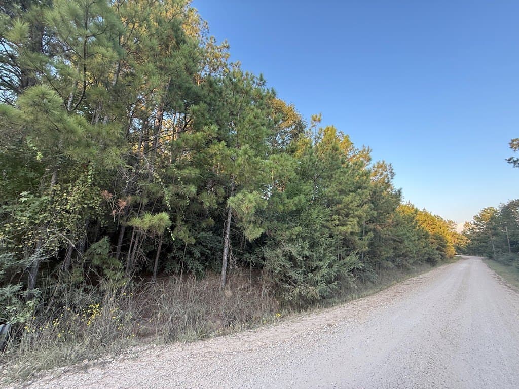 2.56 acres in Texas County gallery image 2