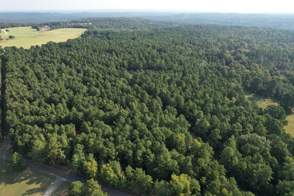 124.03 acres in Texas County