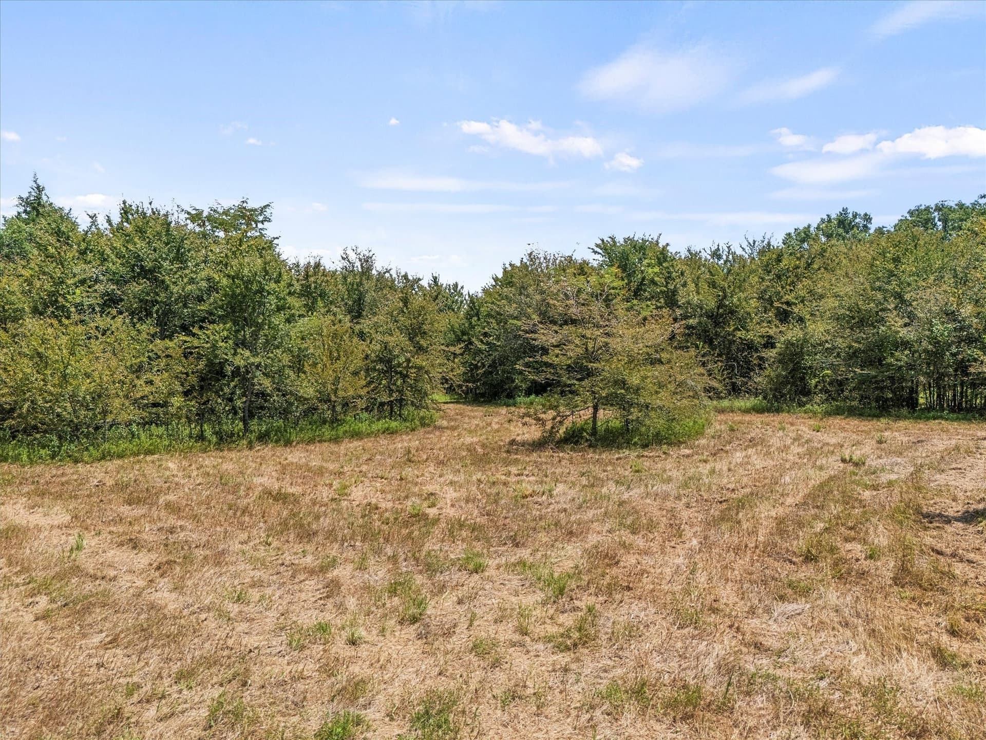 21.64 acres in Van Zandt County - photo 11
