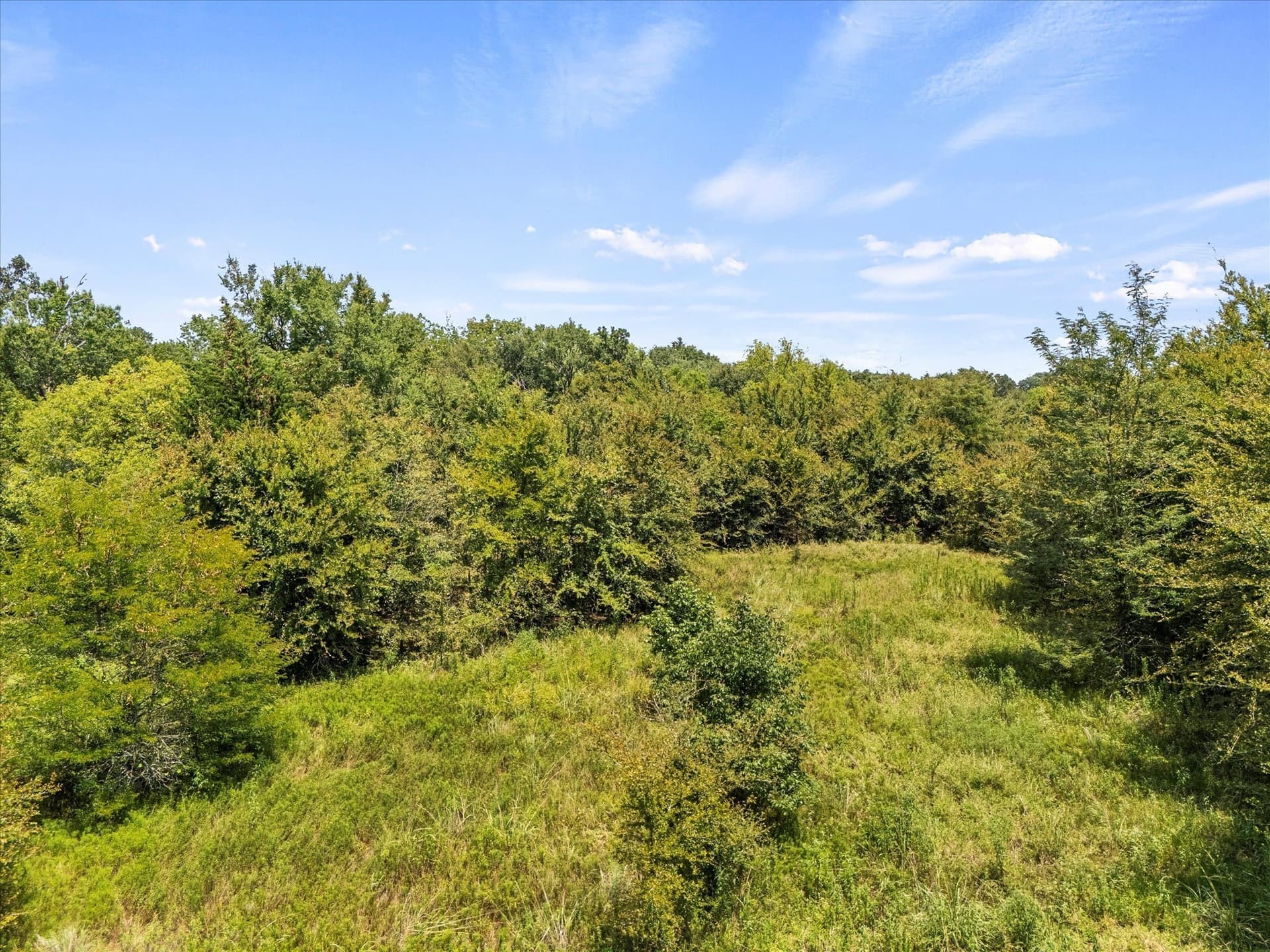 21.64 acres in Van Zandt County - photo 14