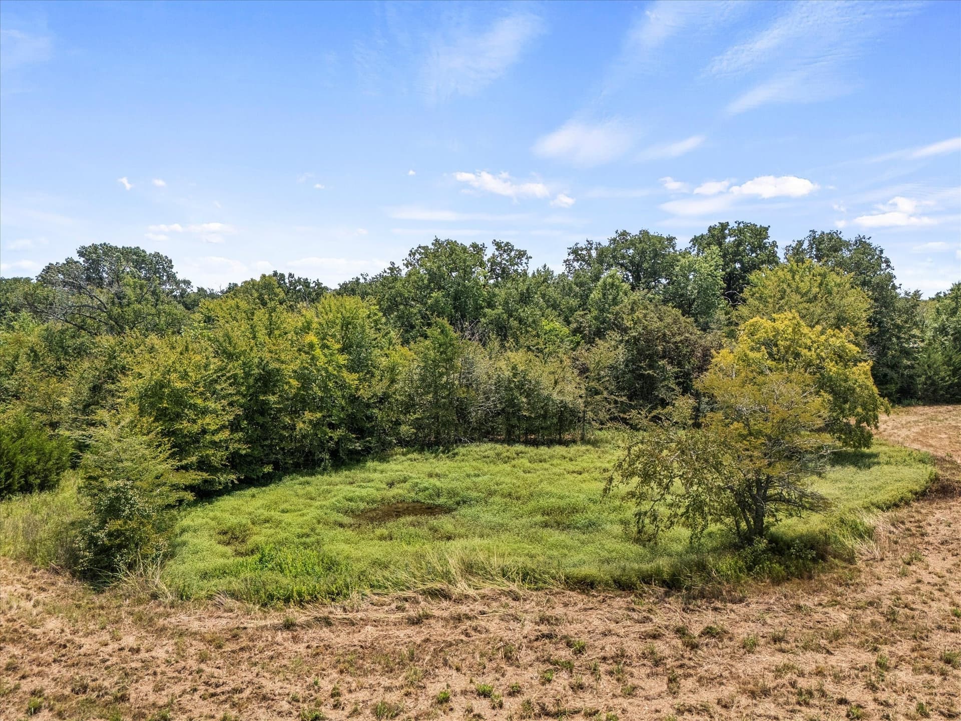 21.64 acres in Van Zandt County - photo 10